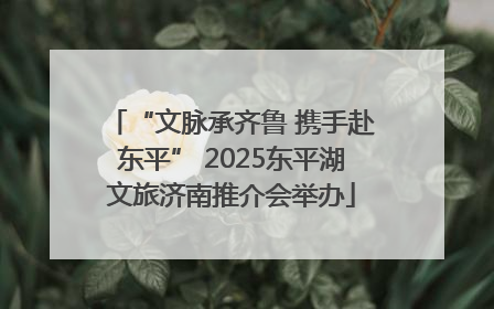 “文脉承齐鲁 携手赴东平” 2025东平湖文旅济南推介会举办